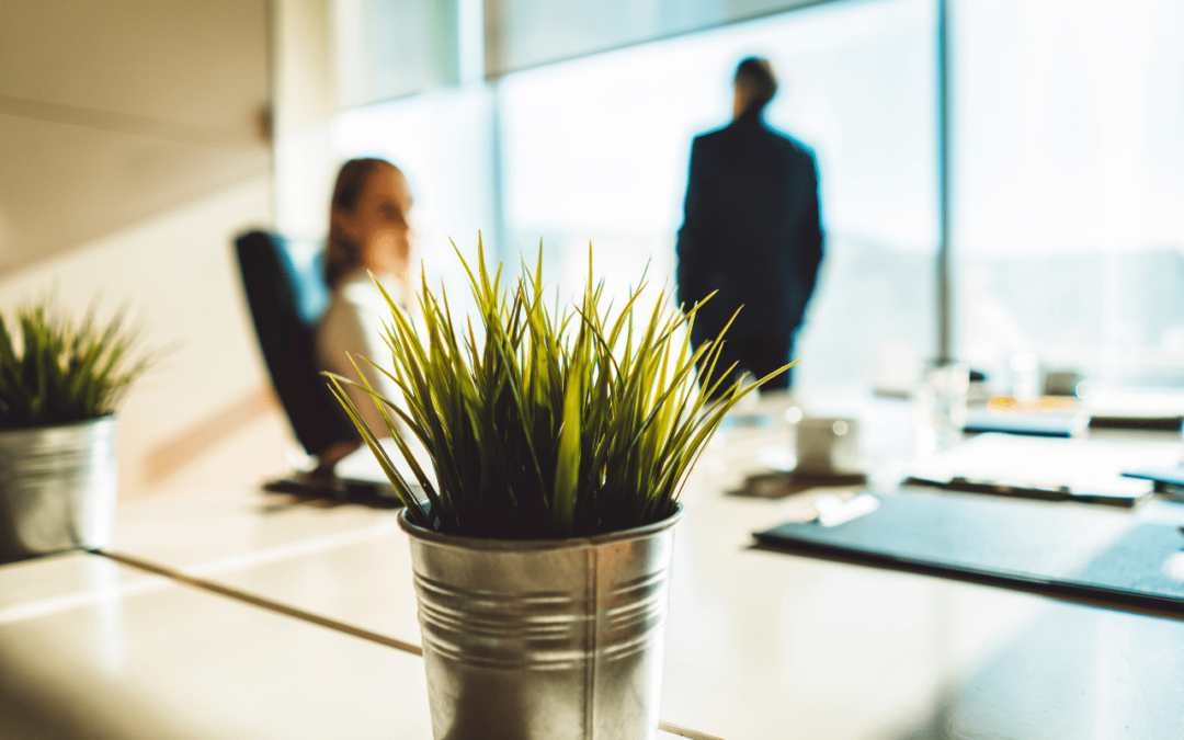 Les plantes au bureau, le secret du bien-être