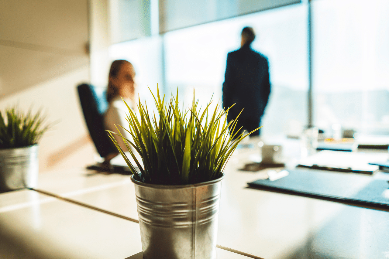 plantes au bureau