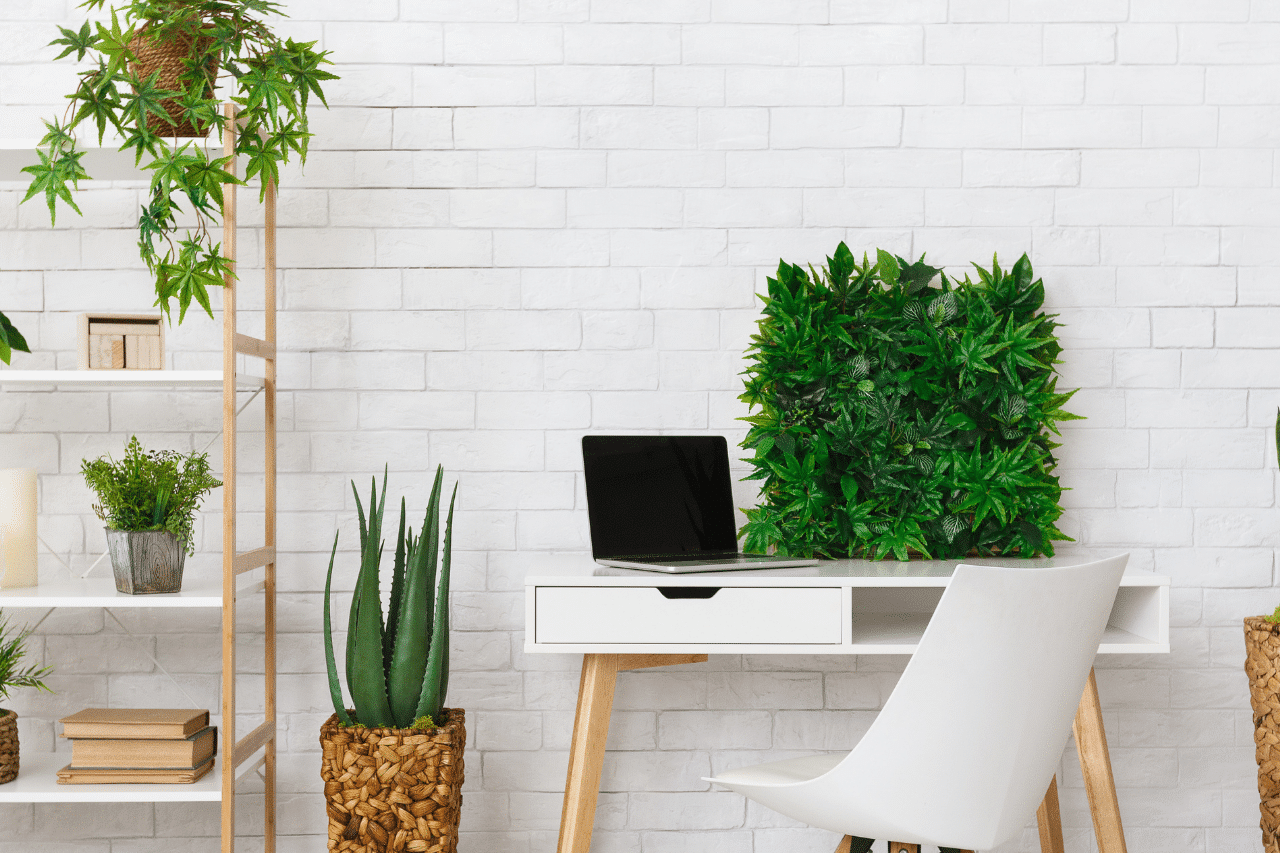 plantes au bureau 