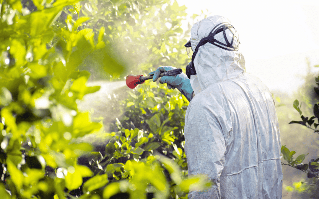 L’impact des pesticides sur la biodiversité