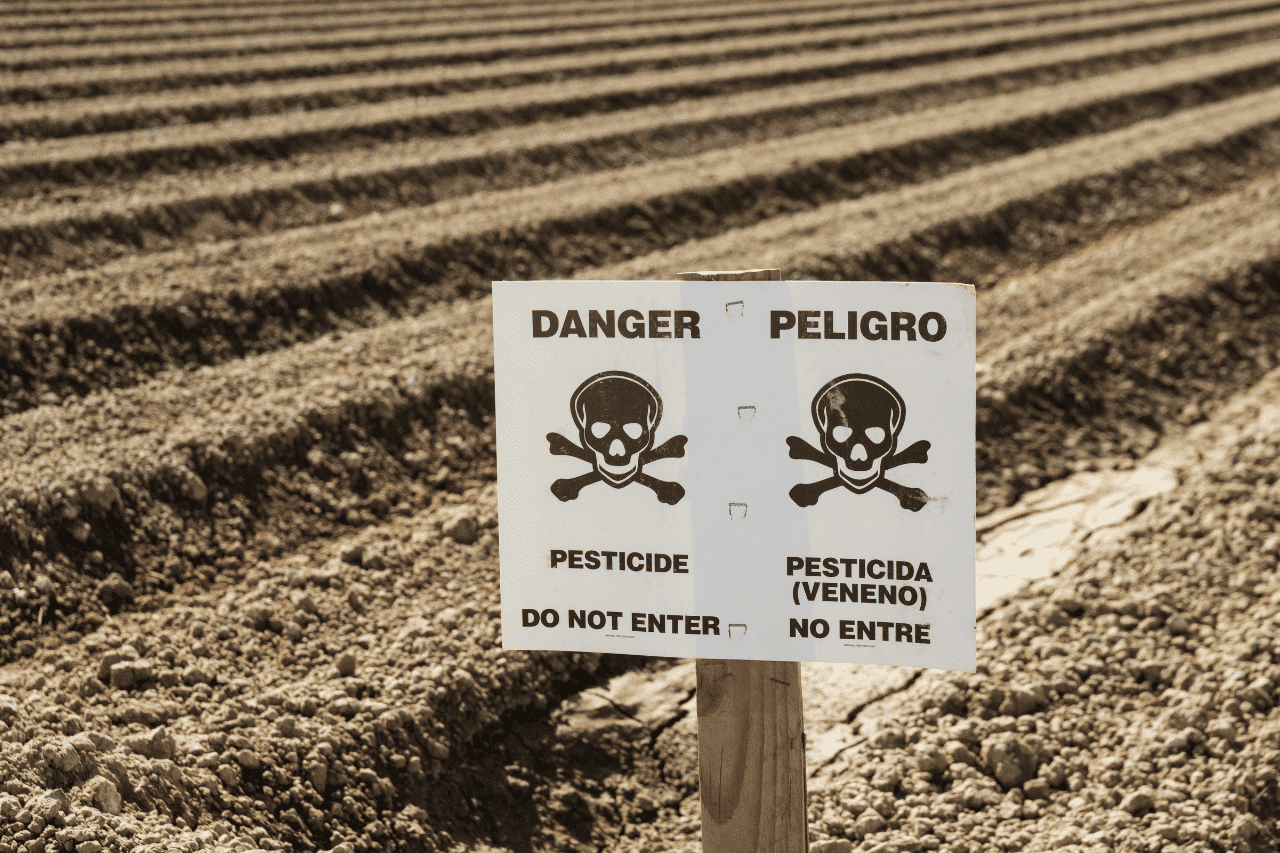 Les pesticides : un danger pour tous 