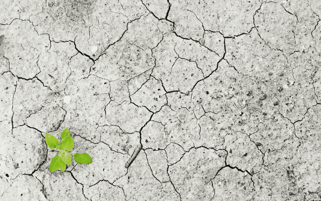 Dérèglement climatique : les 5 chiffres clés