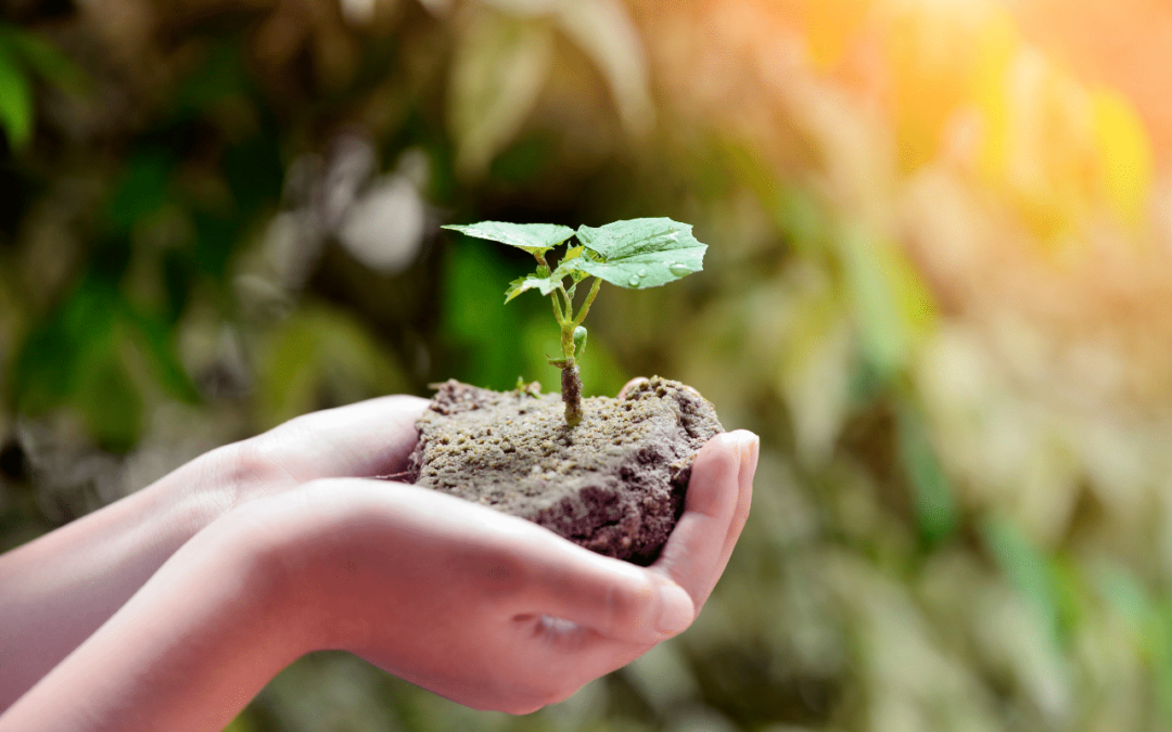 5 conseils pour apprendre l’écologie aux enfants