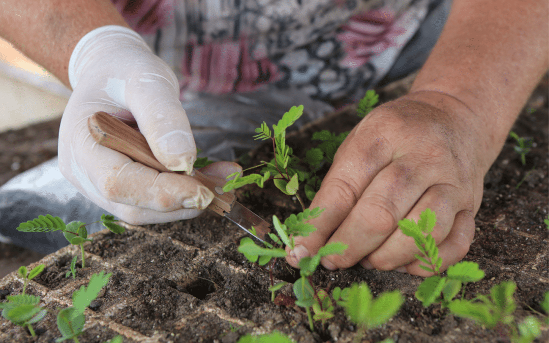 L’Agroécologie