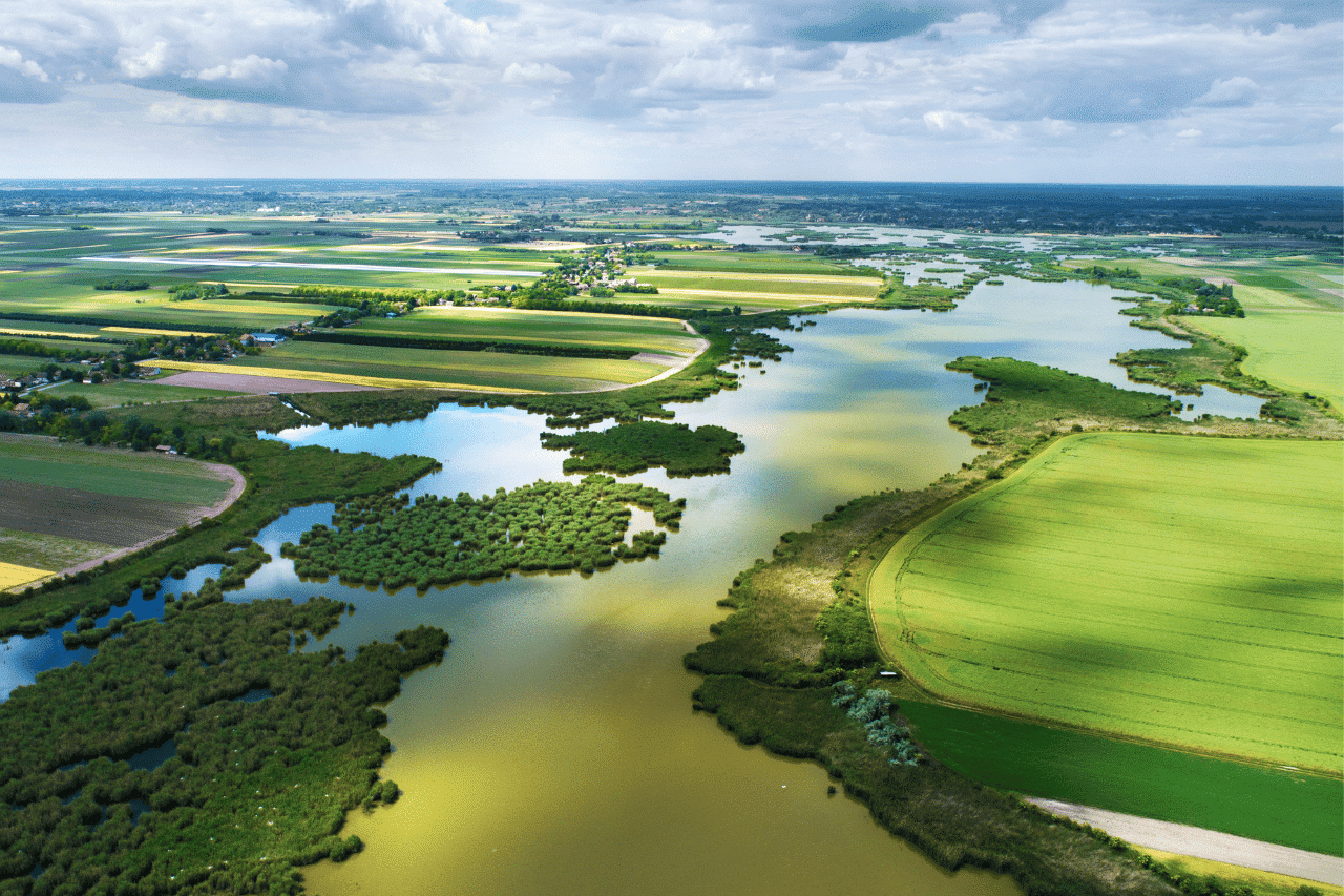 biodiversité 