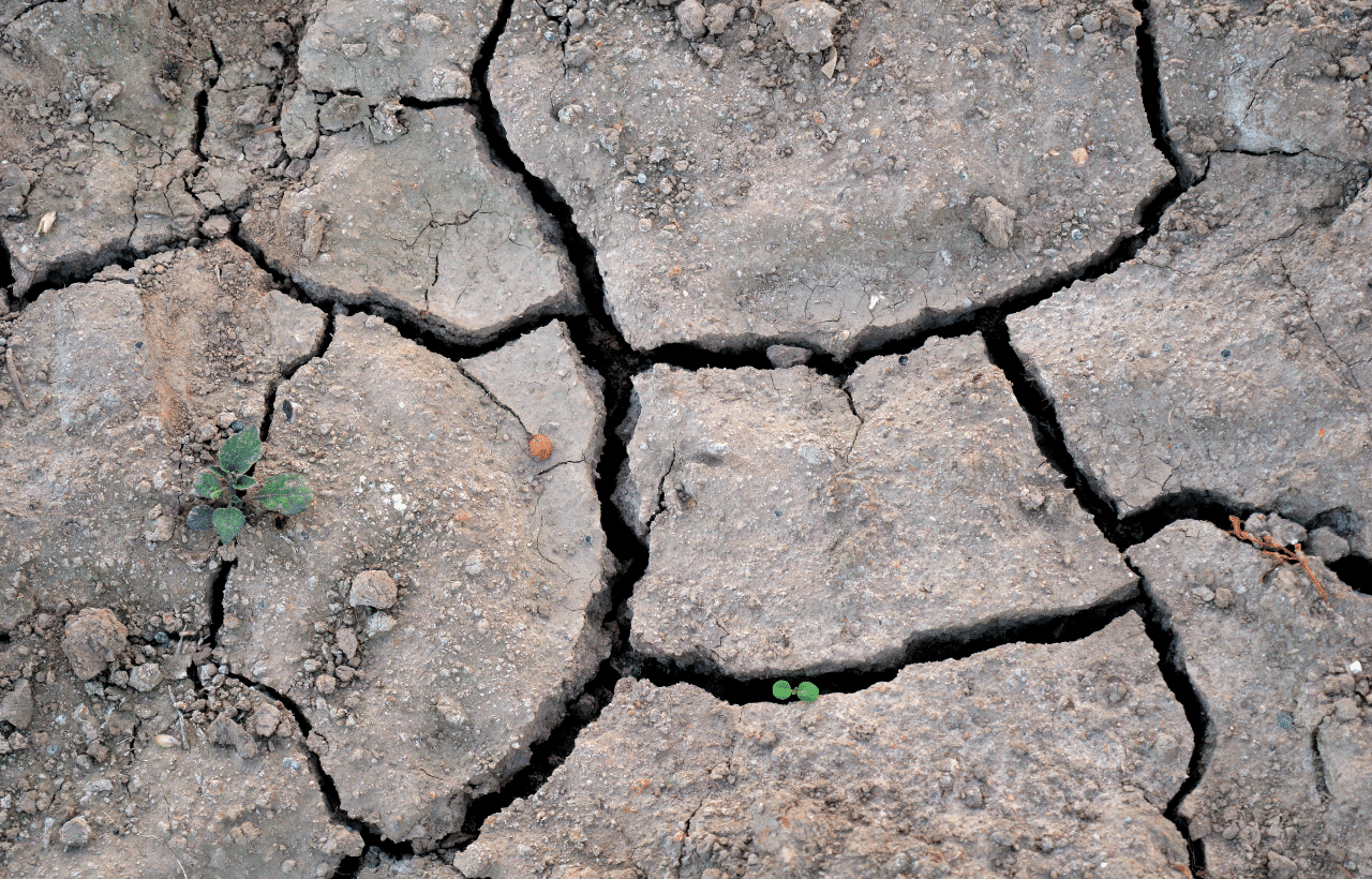 dégats du changement climatique